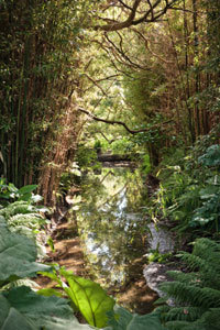 JARDIN BOTANIQUE DE VAUVILLE