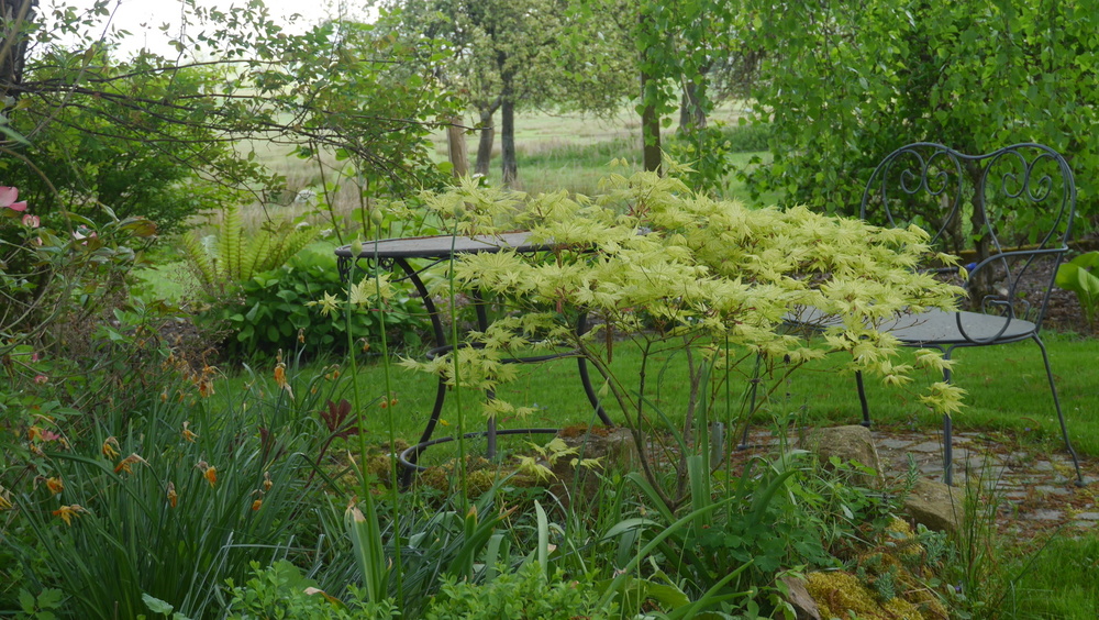 Le Jardin Chez Pia et Alain