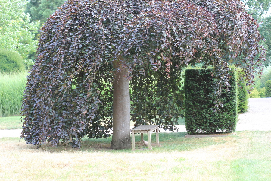 PARC ET JARDIN DU CHATEAU DE PANGE