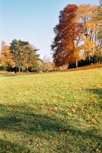 PARC DE LA FONTAINE AUX PIGEONS