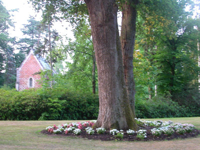 ARBORETUM DE BALAINE