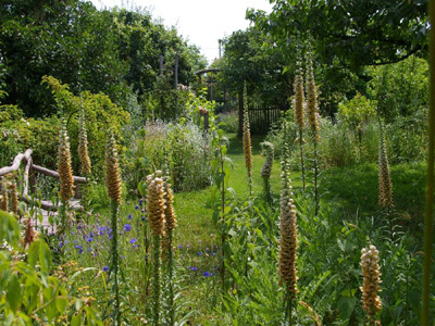 LE JARDIN DE GREIGNAC