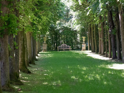 PARC DU CHÂTEAU DE FONTAINE LA SORET