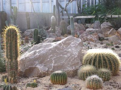 Serres Pédagogiques et Jardin Botanique de Tourcoing