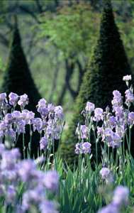 JARDINS DU CHÂTEAU VAL JOANIS