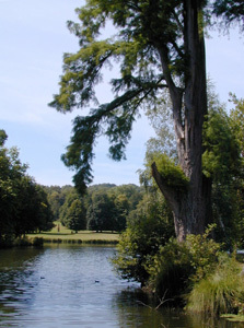 DOMAINE DÉPARTEMENTAL DE CHAMARANDE