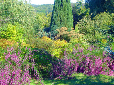 JARDIN DE LOSTANGES