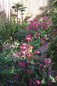 JARDIN LA BOURDONNIERE