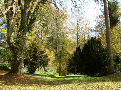 PARC DU PRIEURE DE CONS LA GRANDVILLE