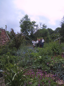 LE POTAGER D'UNE CURIEUSE