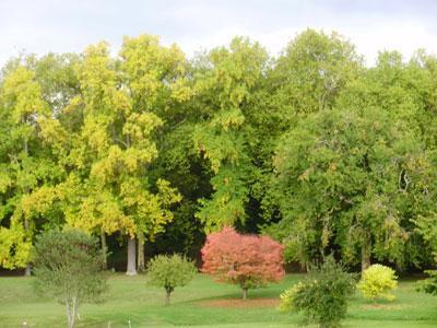 Arboretum de Segrez