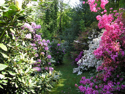 JARDIN DE LOSTANGES