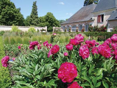 Parc du Château de Cheverny