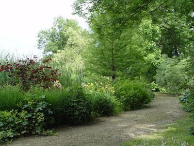 Jardin d'eau de l'Aubépré