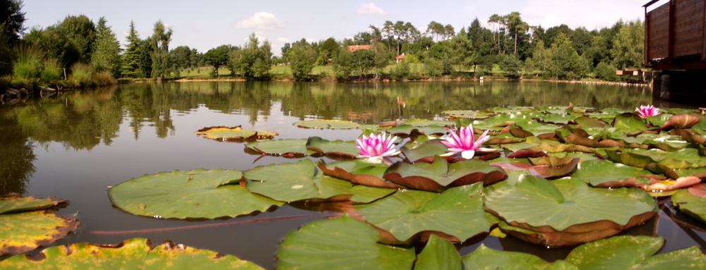 LE JARDIN DE RIVASSOUX