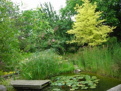 LE JARDIN DE MARGUERITE