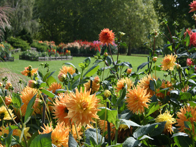 PARC DÉPARTEMENTAL DE LA COURNEUVE