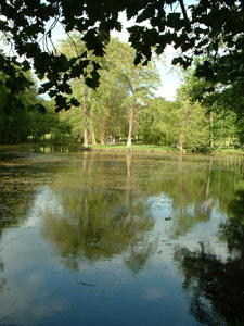 PARC DU CHÂTEAU DE LA BROSSE