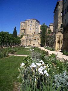 Terrasses du Jardin Neuf et Jardin Conservatoire des plantes tinctoriales