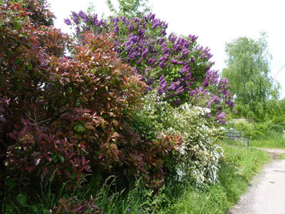 Le Jardin de l'Abbaye