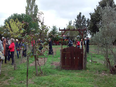 La safranière du Cabanon