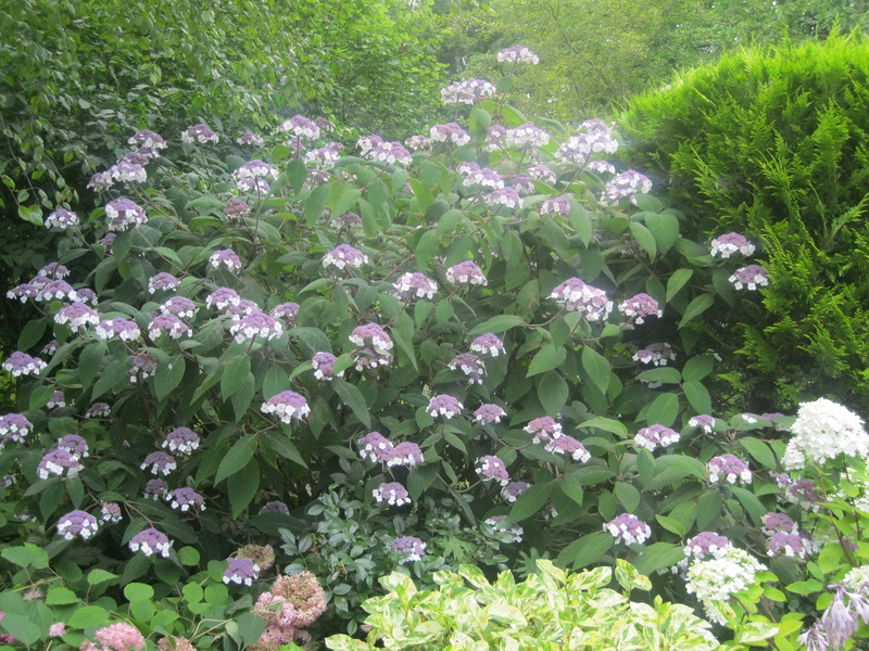 JARDIN SOUS LES CÔTES