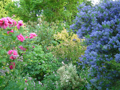 LE JARDIN DES LIANES