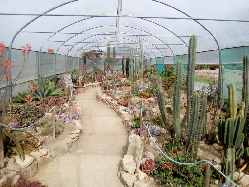 JARDIN EXOTIQUE ET BOTANIQUE DE ROSCOFF