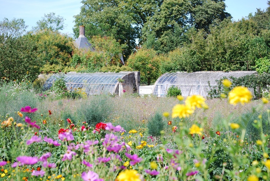 PARC ET JARDINS DU CHÂTEAU DE TOURNELAY