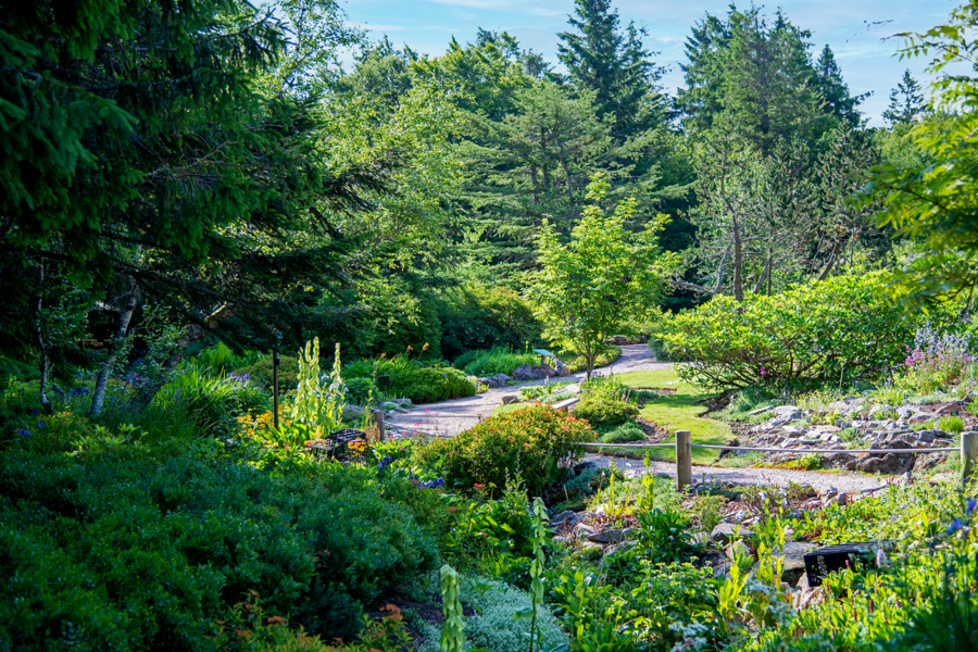 JARDIN D'ALTITUDE DU HAUT CHITELET