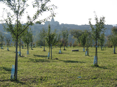 LES JARDINS DE LA BIGOTIE