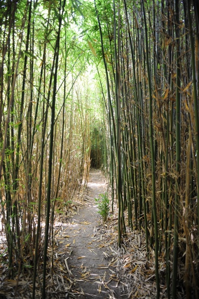 LES JARDINS DE LOUANNE