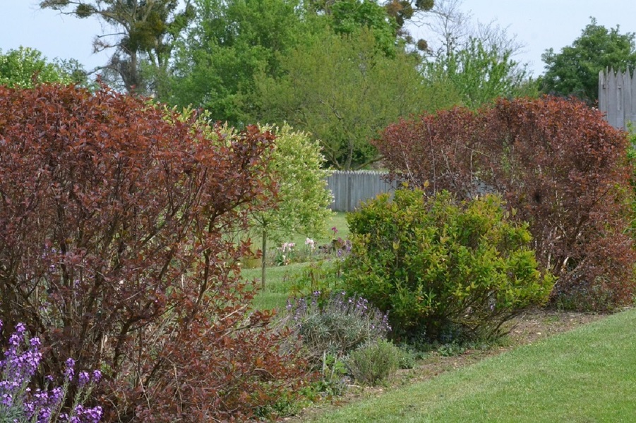 LE JARDIN DE MANOU