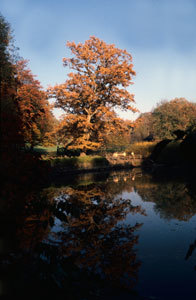 PARC DU CHÂTEAU DE LA VERRERIE