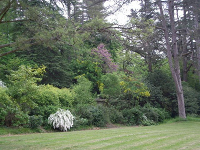 PARC DE L'ABBAYE DE LOC DIEU