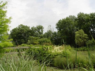 Jardin d'eau de l'Aubépré