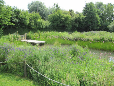 Jardin des plantes sauvages et Jardin des plantes médicinales