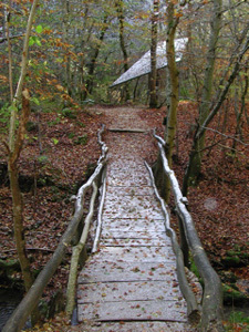 JARDIN CONTEMPORAIN DU VALLON DU VILLARET