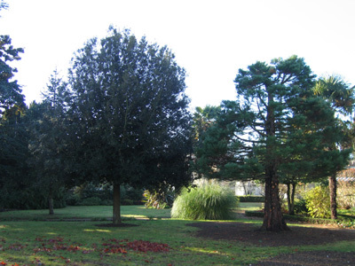 JARDIN DE LA SOCIÉTÉ D'HORTICULTURE DE NIORT