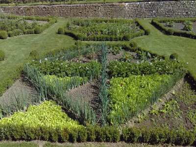 PARC ET JARDINS DU CHÂTEAU DE DIGOINE