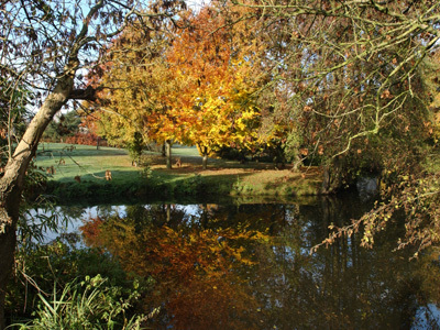 PARC DE MOINE