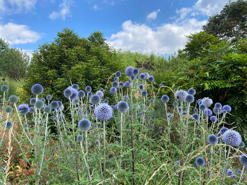 Le Jardin en Mouvement