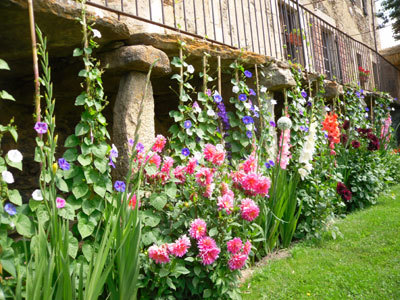 JARDIN POTAGER DE CAL MATEU