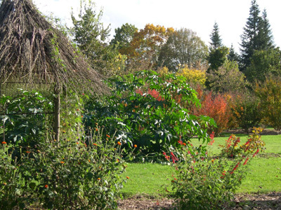 PARC BOTANIQUE DE NEUVIC