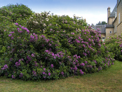 PARC ET JARDIN DE LA CHAUX