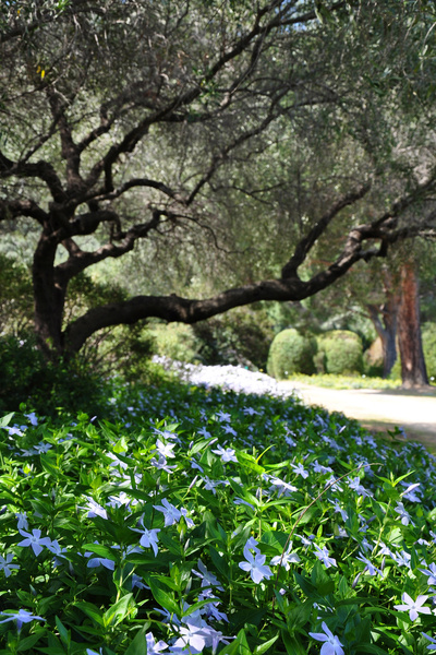 PARC DE SALECCIA