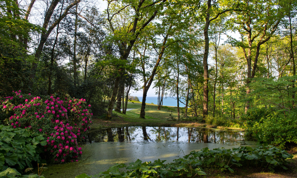 LES JARDINS DU BOIS DES MOUTIERS