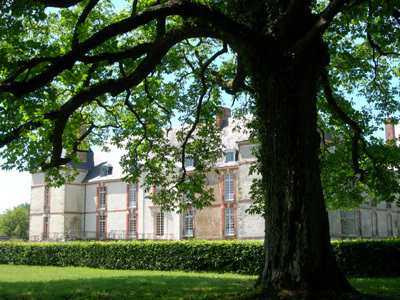 PARC DU CHÂTEAU DE RÉVEILLON