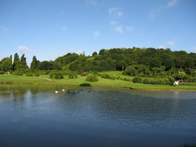 LA COLLINE AUX OISEAUX