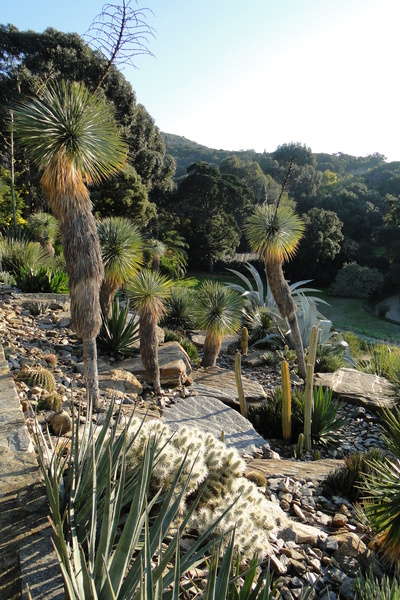 DOMAINE DU RAYOL, JARDIN DES MÉDITERRANÉES